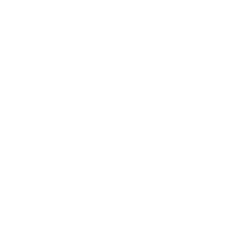 telefon icon